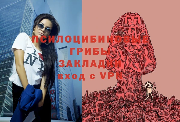 винт Армянск